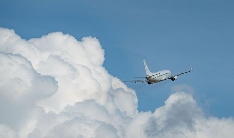 Irish Passport Recall: Software Glitch May Impact Your Travel Plans